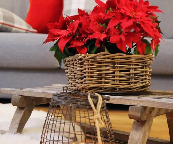 And Kaja * كْرانْيِسكا غورا